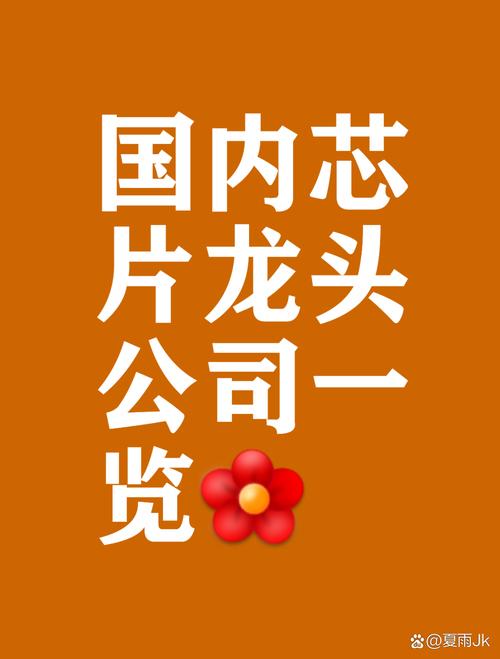 高端计算芯片与系统研发 从处理器、加速器到软件开发的融合创新